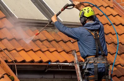 Démoussage et hydrofuge de toiture à Charraix